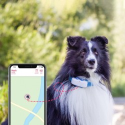 Koerte jälgimisseade Tractive GPS DOG 4