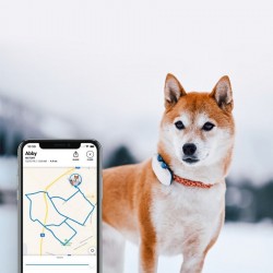 Koerte jälgimisseade Tractive GPS DOG 4