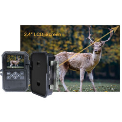 Looduskaamera Bentech TC06 4K